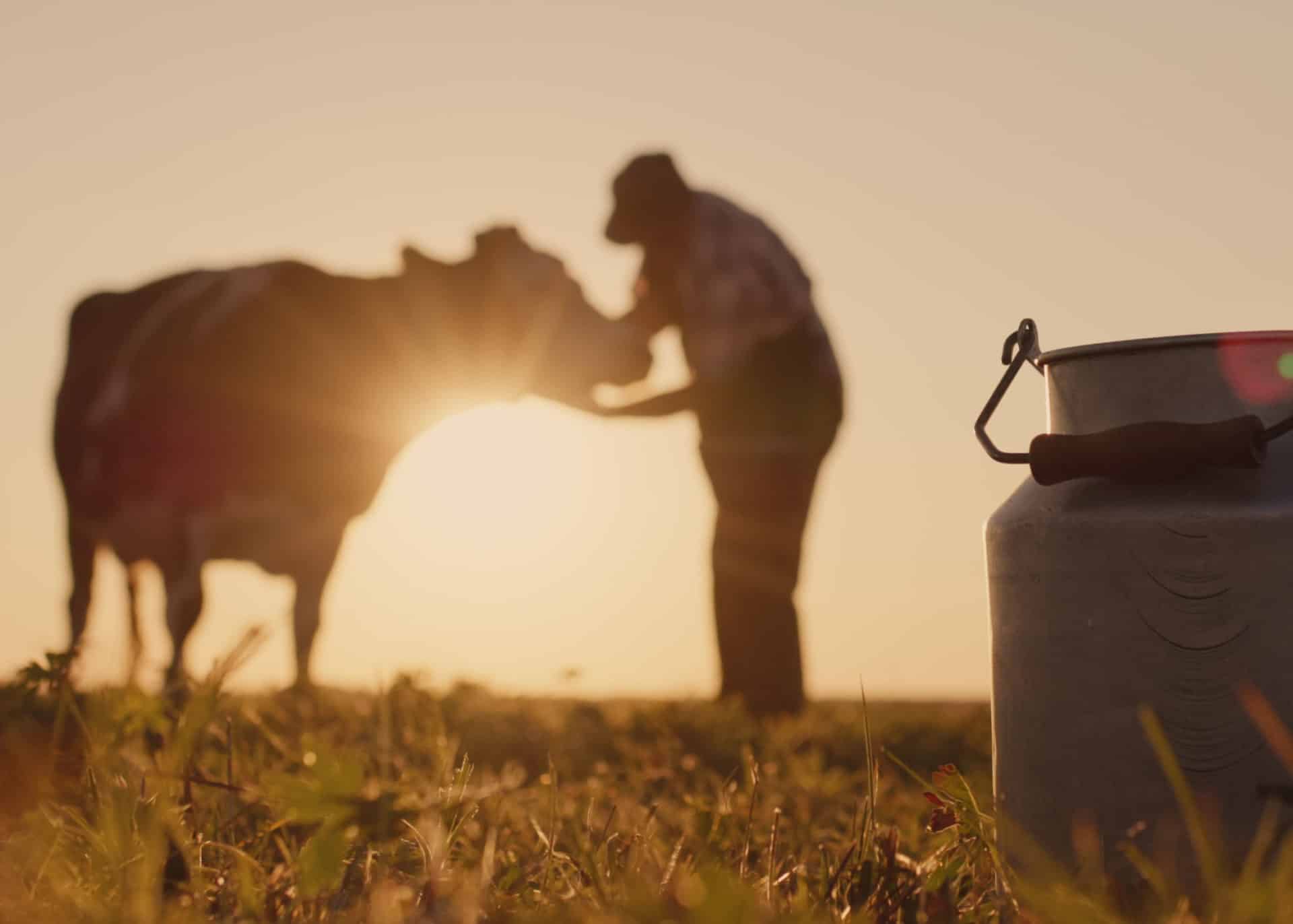 farmer